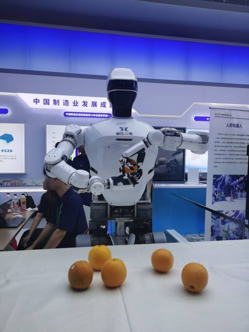 安徽人工智能產業崛起 制造業大會機器人云集，AI軟件開發賦能智造升級